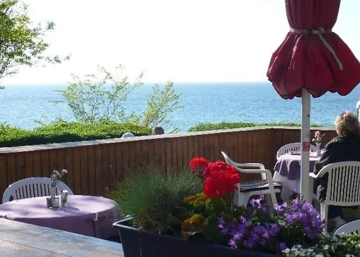 Uferschwalbe * Rerik