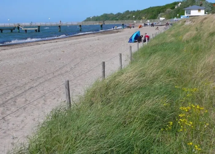 Uferschwalbe Apartment Rerik